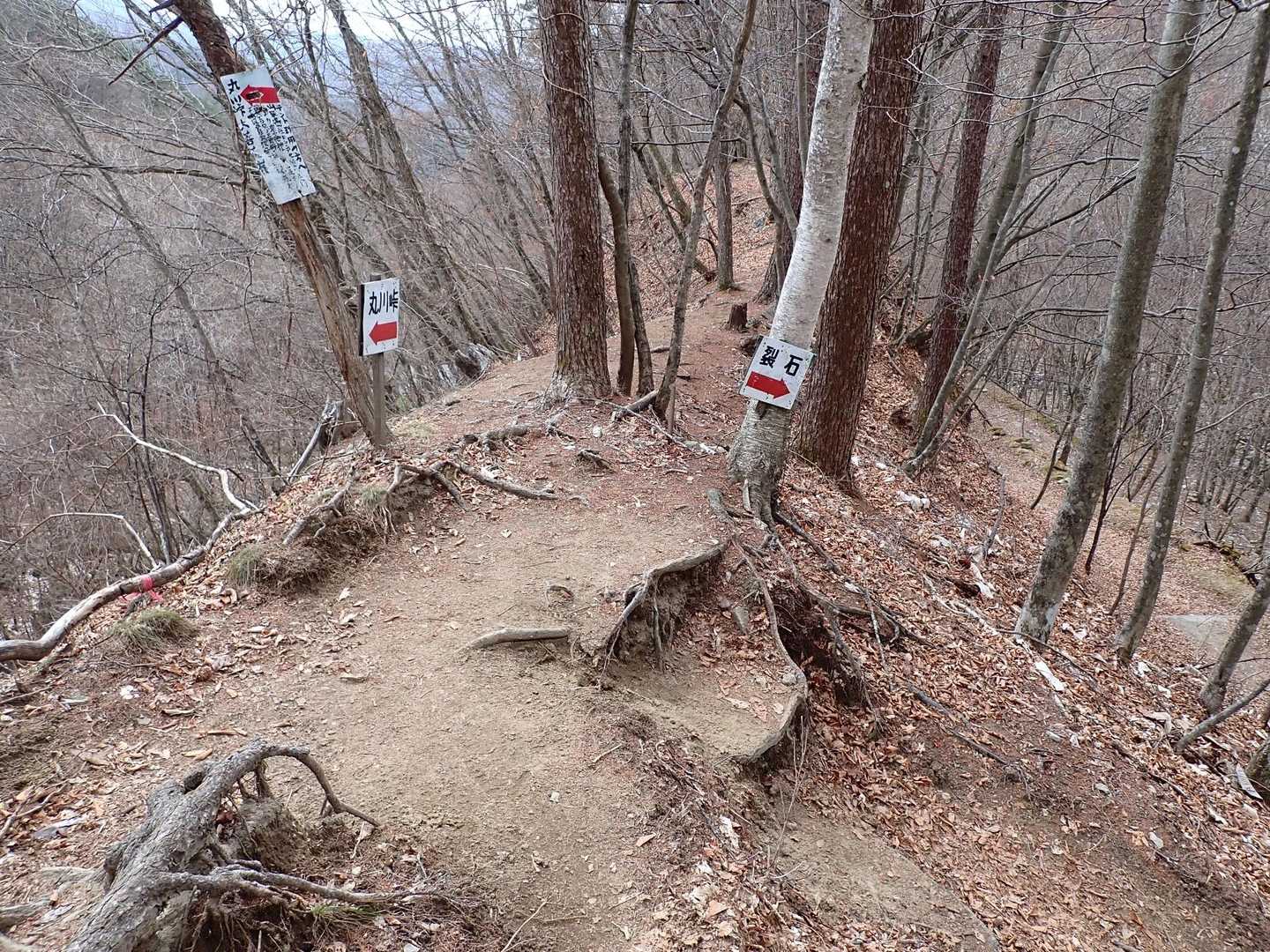 ひたすら下って、あと少しで駐車場です🚗
今日も怪我もなく無事に下山出来ました😊
山頂から見えた色々なお山が楽しそうで、縦走したいと思ってワクワクしました🏔🏔💕