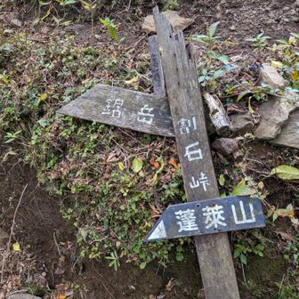 ちょっとお先に寄り道