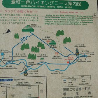 このやまなみはでんべい山が最終かな