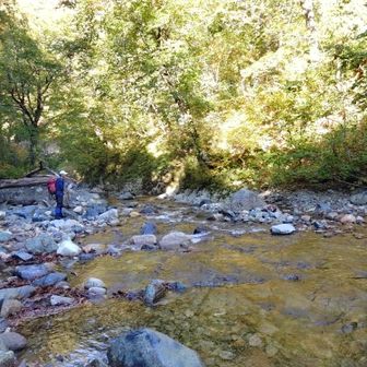 渡渉地点まで約1時間20分
水量は……安心するくらい