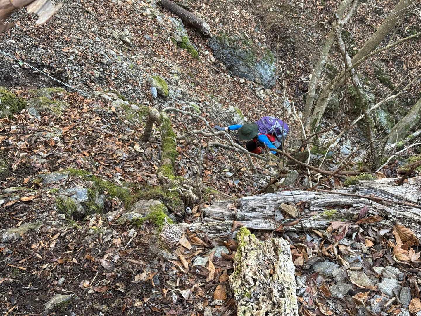元井谷登山口-仰烏帽子山 往復コースの写真