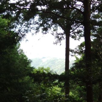 尾鷲の町並みがかすかに見えるところ