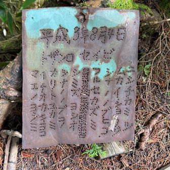 H3.8.4登山整備してくれた、シナノノブヲさんに感謝です。