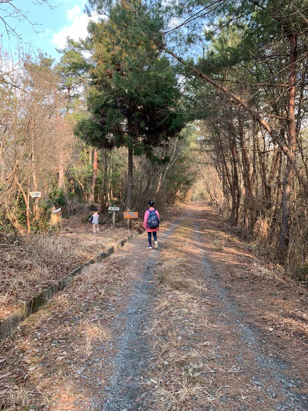 林道に一旦出て、東ルートに入ります😄
