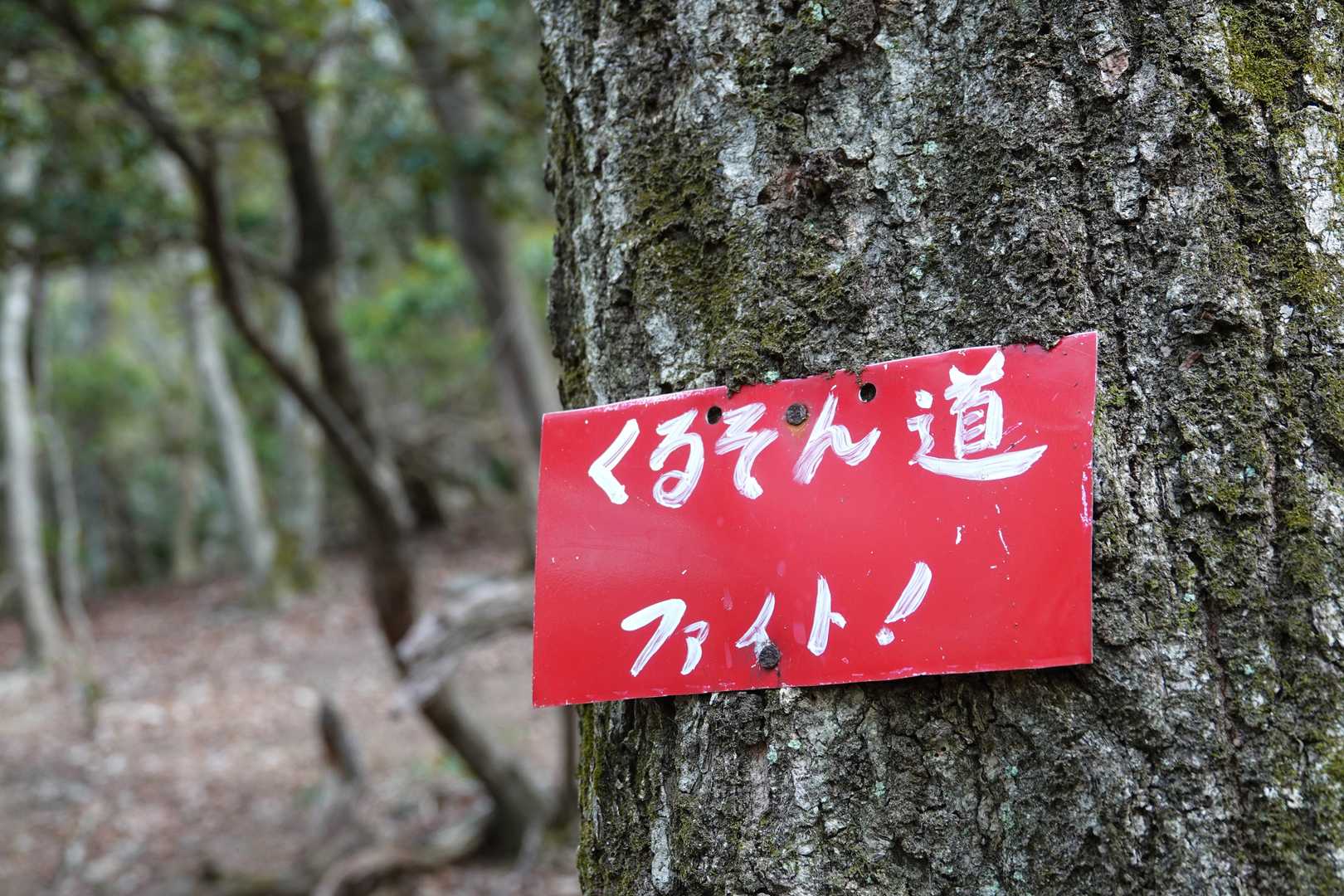 狗留尊山-烏帽子岳 往復コースの写真