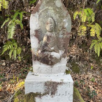 弘法大師が生まれた七十五番　善通寺
宿坊に泊まってこの近くで食べた讃岐うどん、最高だったな😆