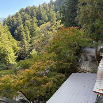 紅葉のはじまり🍁