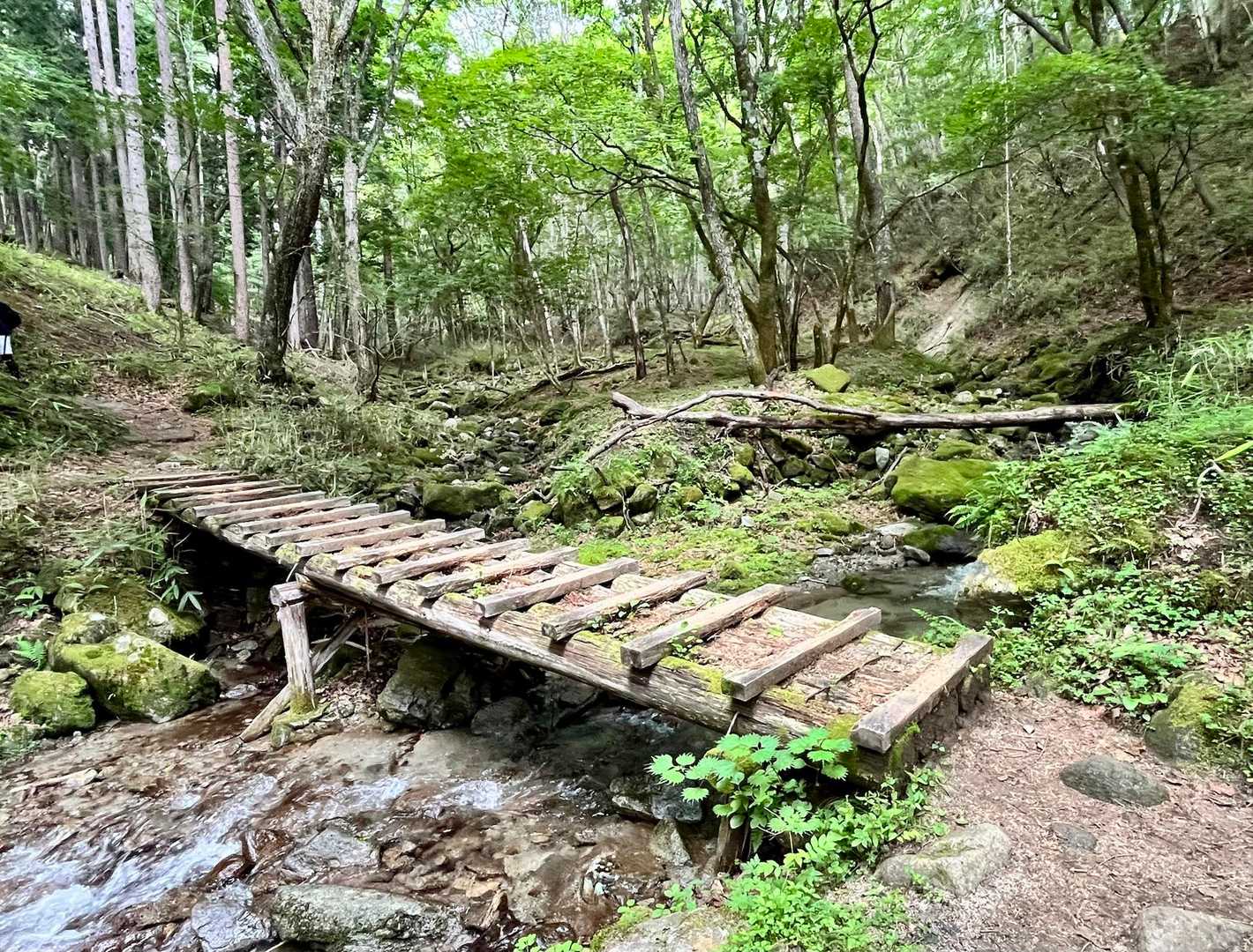 湿度は高いのですが川の周囲は涼やかな風が吹いていて少しだけクールダウンできます✨