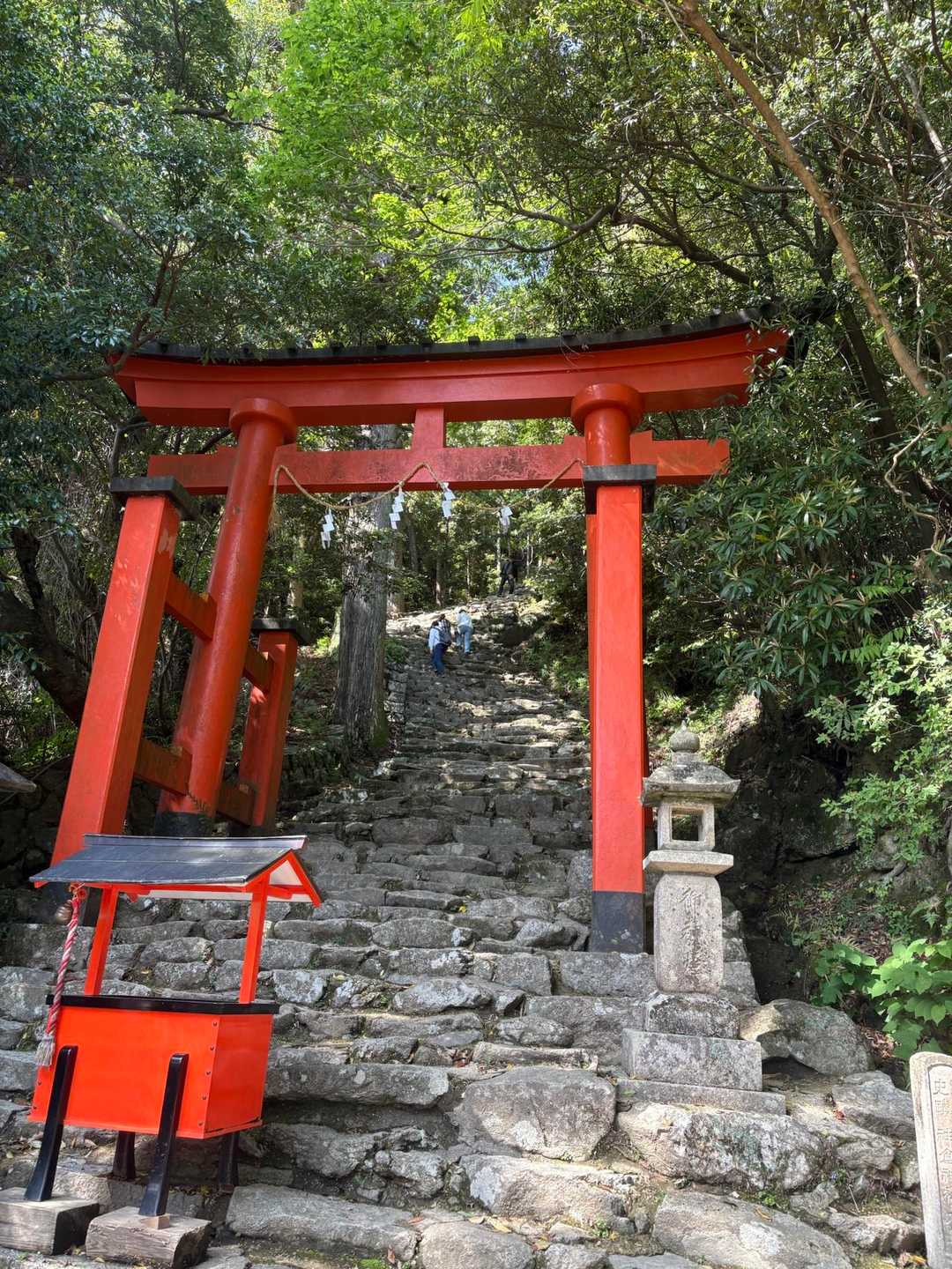 鳥居から見える景色がほとんど石階段😅