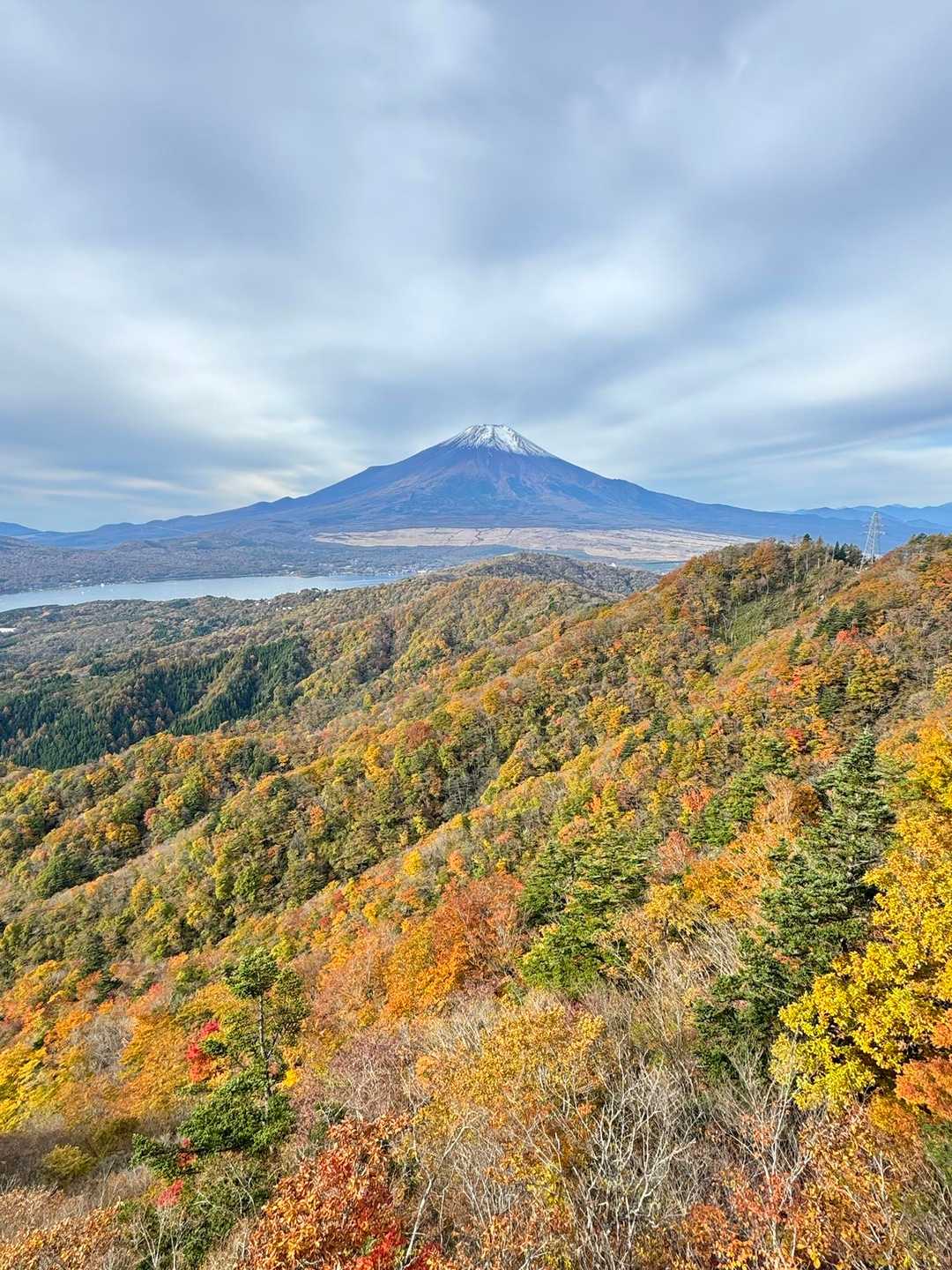 紅葉がきれいに見えて、これはうれしい誤算😃
