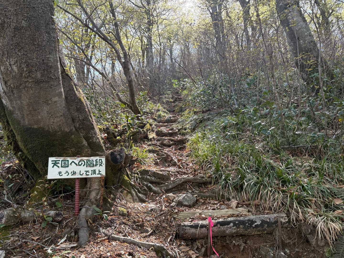 天国へ行けるらしい！
でも、ここで天に召しそう😭
