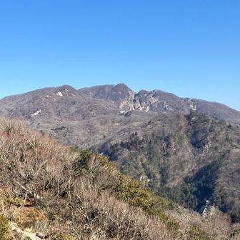 ビジュいいってこういうときに使うのね