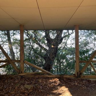 中に入っても眺望はゼロ🤣🤣🤣
うーん、なんで南峰と北峰では、こんなに雰囲気が違うんだろ。

では下山しまーす🖐️