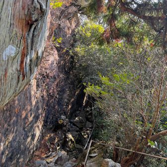 はさみ岩見えてきた🪨