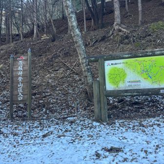 山梨市駅から西沢渓谷のバスは、連休にも関わらず、まさかの1人🤫
うっすら雪にはアニマルトレースと1週ほど前の薄くなったトレースのみ。