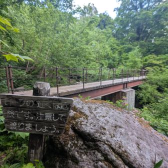 ひたすら下りて、やっと急登終わる。