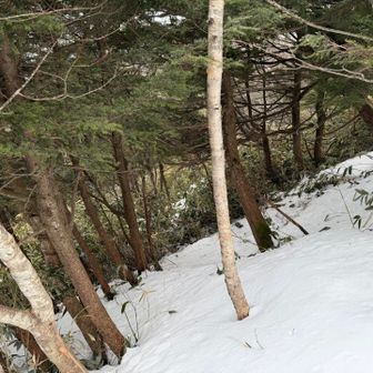 この傾斜なので慎重に歩きます🚶‍➡️