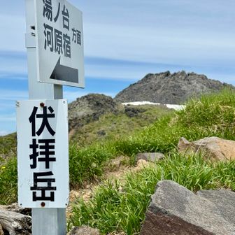今日ここまで。
七高山まで行けたらよかったのですが、また次のお楽しみに。