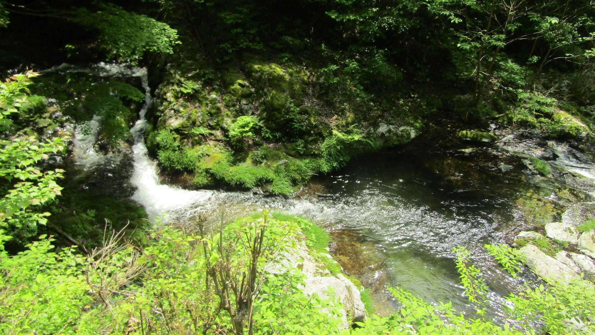 川が生き生き・・涼しい！