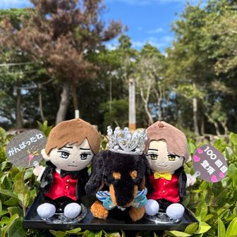 亀尾山100回目🥳🎉🎊👏