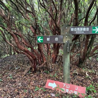 分岐の標識が多い