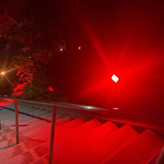 ちょうどライトアップ見て帰れるね✨