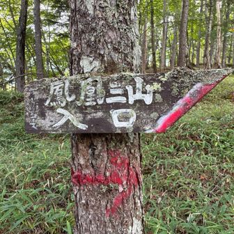 変化の少ない中道から登るのは大変かも