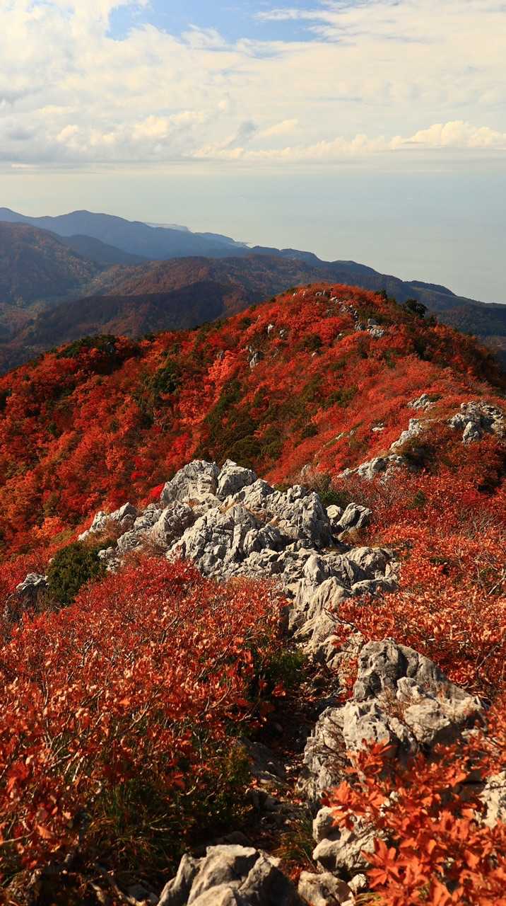 紅葉 × 石灰岩
紅白めでたいゾーン㊗️