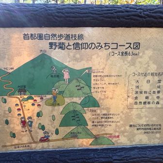 次はこれ、行ってみようかしら？