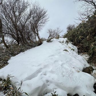 一ノ谷新道の登山口には雪が残ってた
