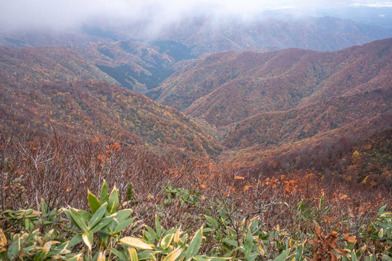 鷲ヶ巣山（縄文の里朝日）の写真