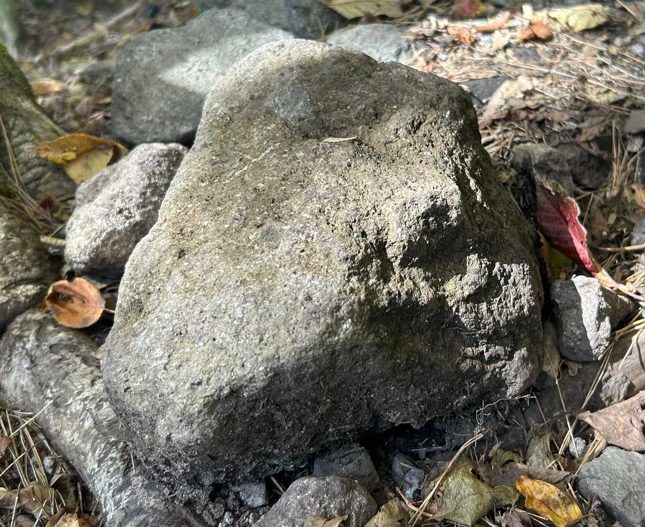 端にカオが｡ﾟ+.( °∀°)ﾟ+.ﾟﾇﾗﾘﾋｮﾝ