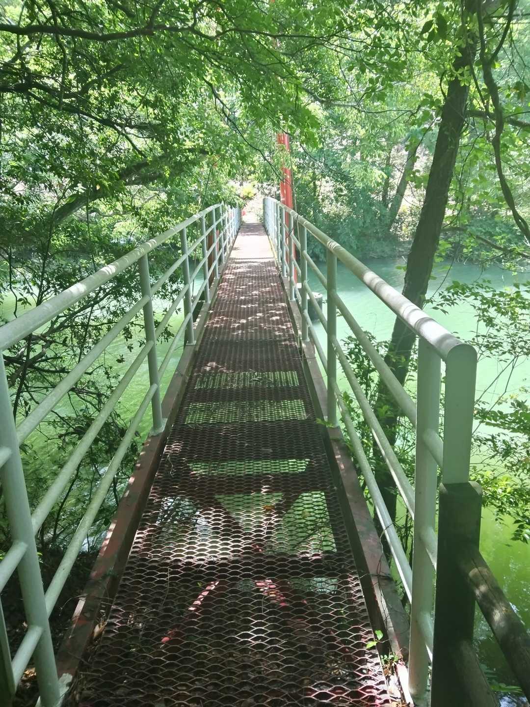 三沢山 往復コースの写真