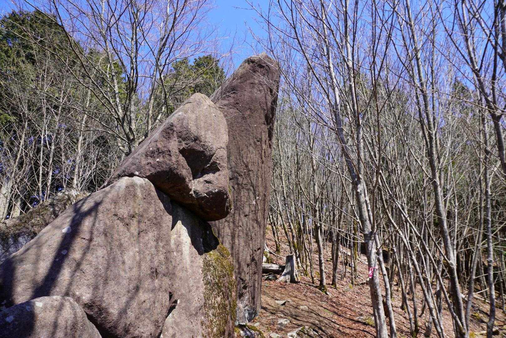 袴ヶ仙 周回コースの写真