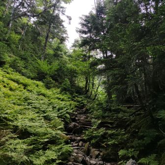 ガレ場の登りが続く。