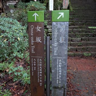 こま参道を抜けて女坂へ
（男坂は現在立ち入り禁止⛔️）