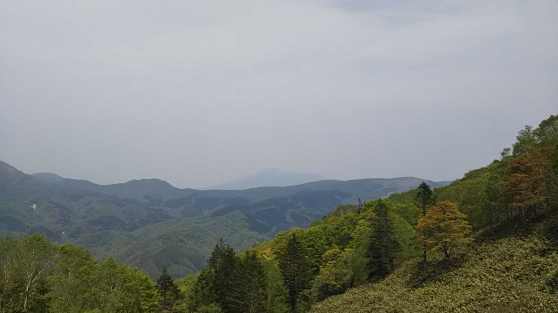 駒さんが霞んで見えない