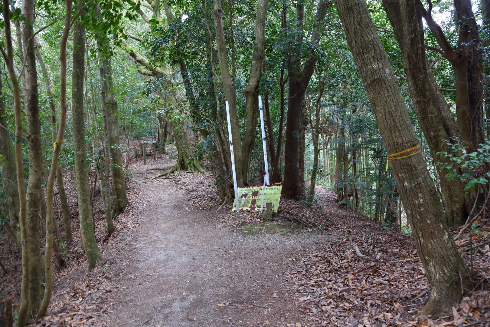 八重山登山道入口-炭焼窯跡-八重山 往復コースの写真