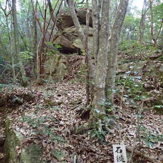 登ってすぐにある、石鎚様。