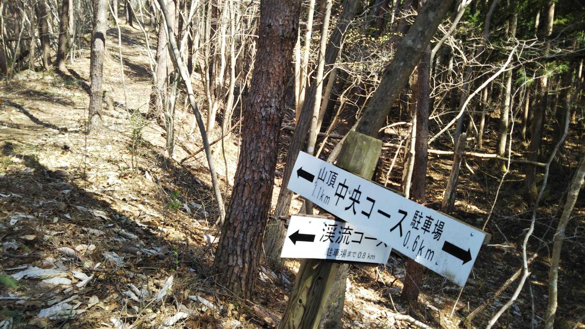 山頂目指し･･･