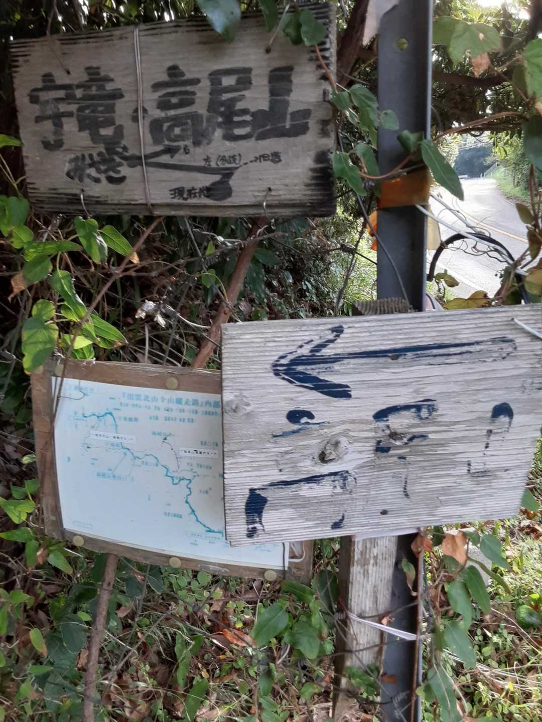 高尾山 往復コースの写真