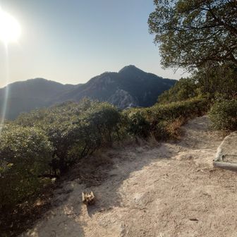 さあここから馬ノ背です