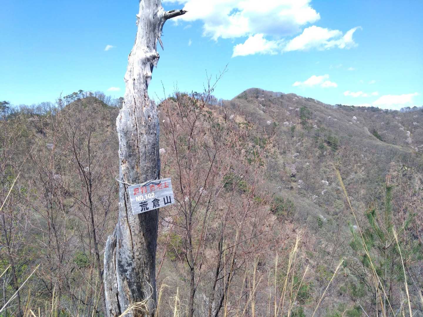 荒倉山登頂💪