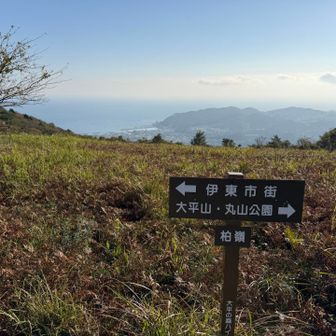 伊東の港が見えます