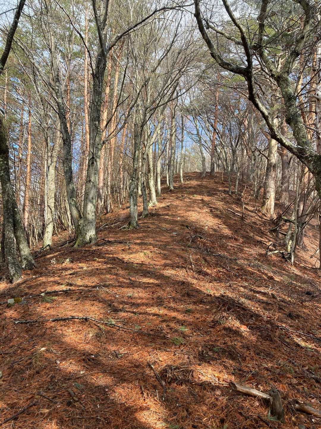 あと少しで八幡山