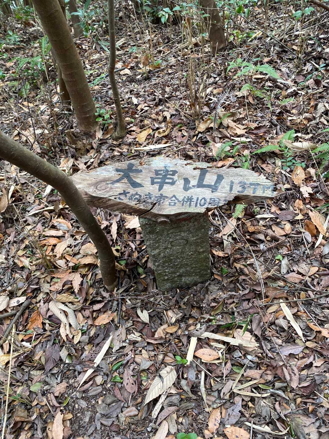 大串山の山頂に到着です。
南に行く道もあったので、そちら(尾根沿い)を歩きましたが、すぐに踏み跡は不明瞭になりますし、赤テもないので、ご注意願います。