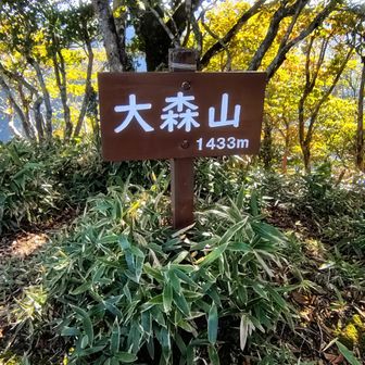 大森山山頂