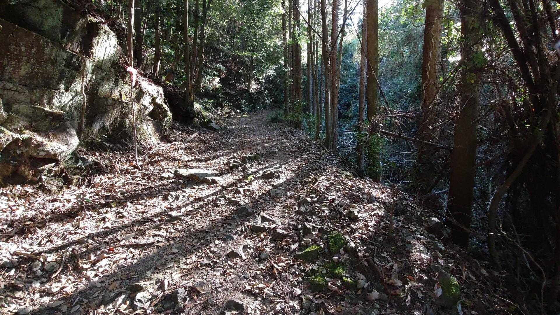 スタートから沢沿いのややガレ道