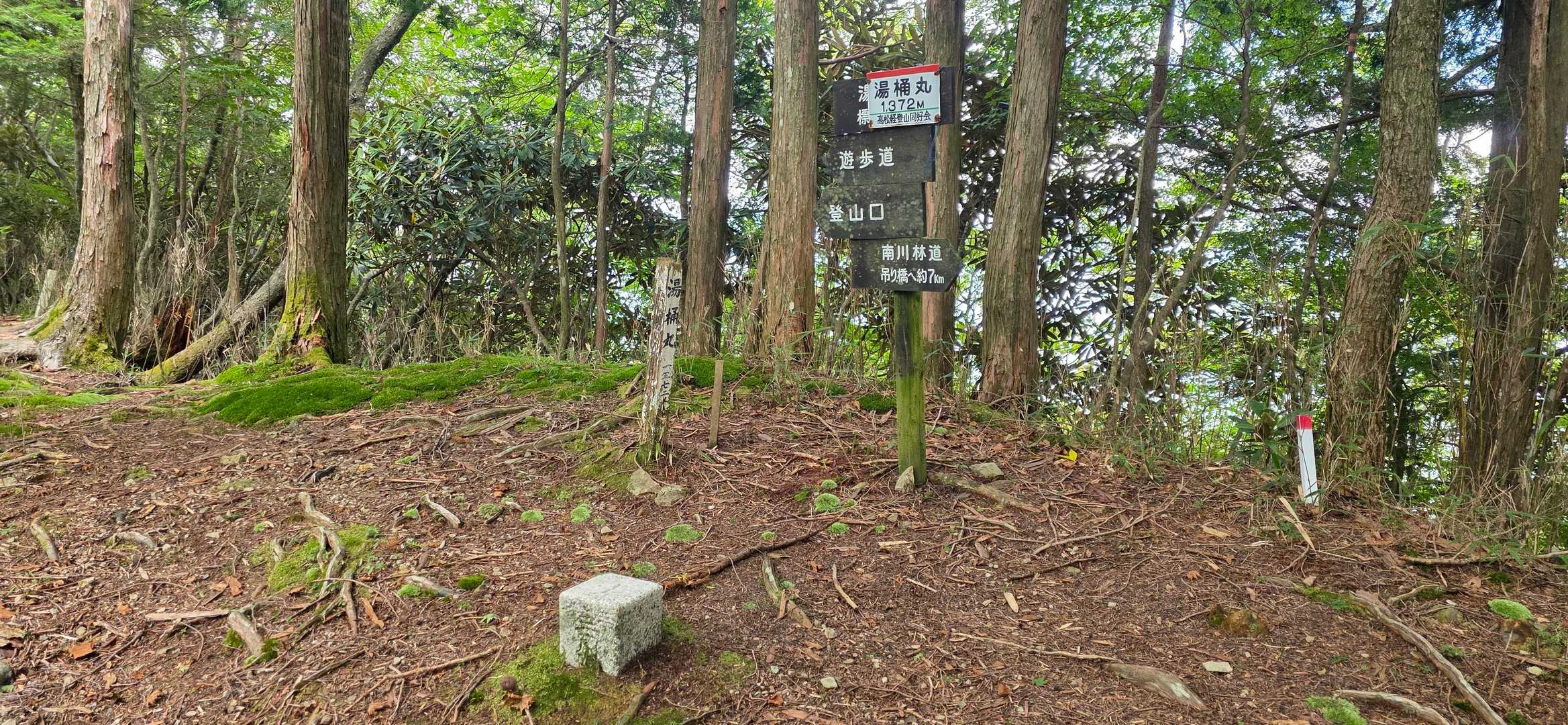 山頂に到着〜

…遊歩道？
「南川林道の吊り橋」が気になるな…