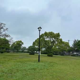 さすがに雨で
公園だれもいない